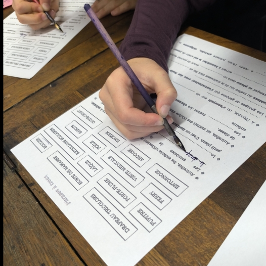 actualités cdi ensemble scolaire saint louis à carcassonne