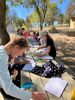 actualités cdi ensemble scolaire saint louis à carcassonne