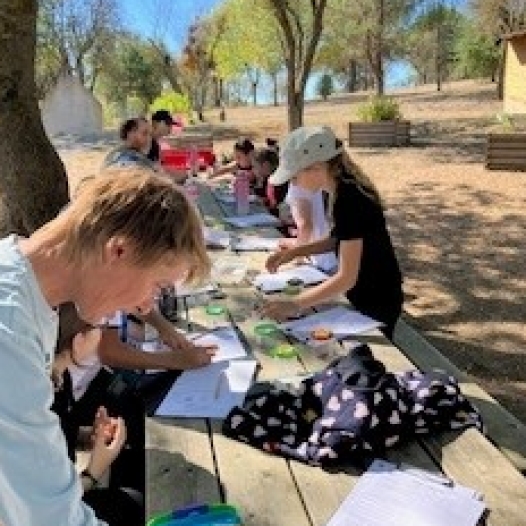 actualités cdi ensemble scolaire saint louis à carcassonne